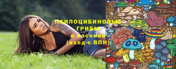 трава Алзамай