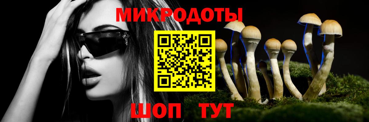 Галлюциногенные грибы MAGIC MUSHROOMS Лесной